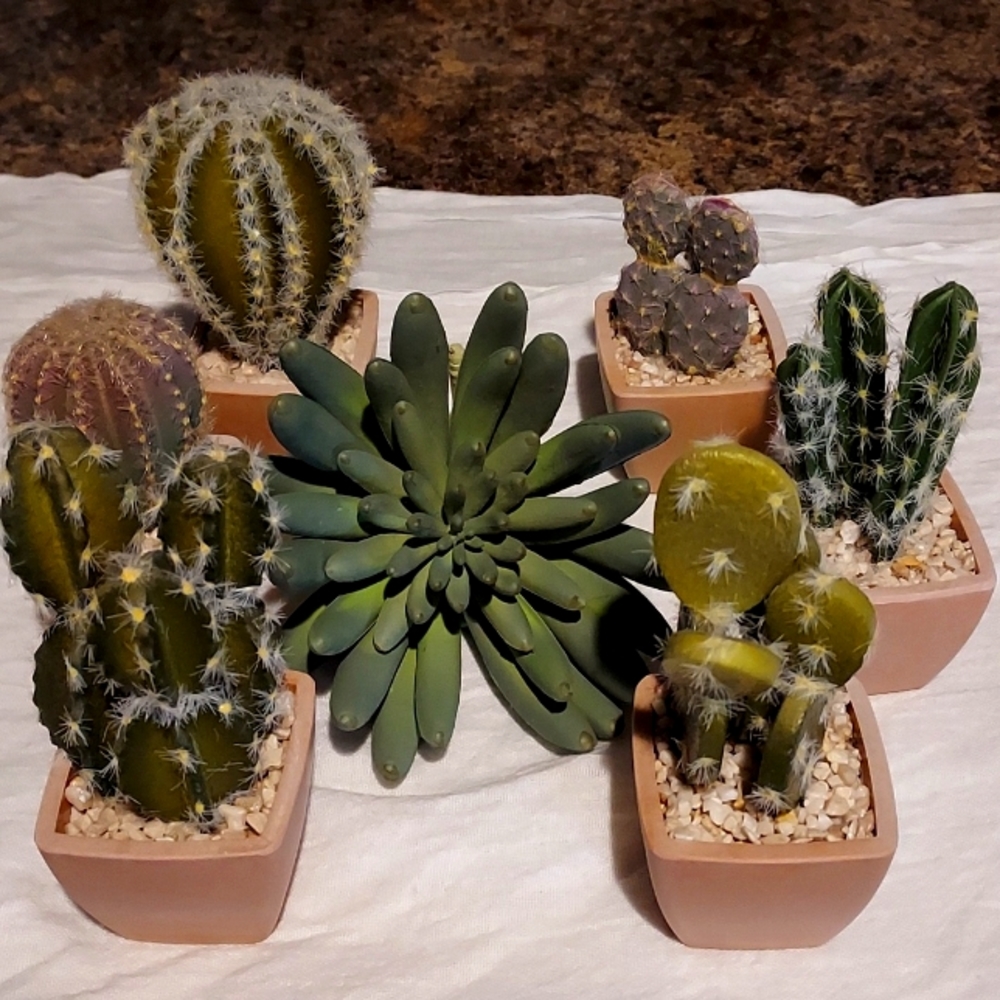 Faux Succulents